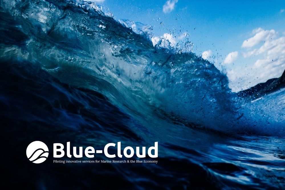 Marine thematic EOSC Blue-Cloud sees major growth with new ‘Virtual Labs’