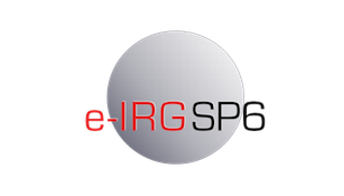 e-IRGSP6