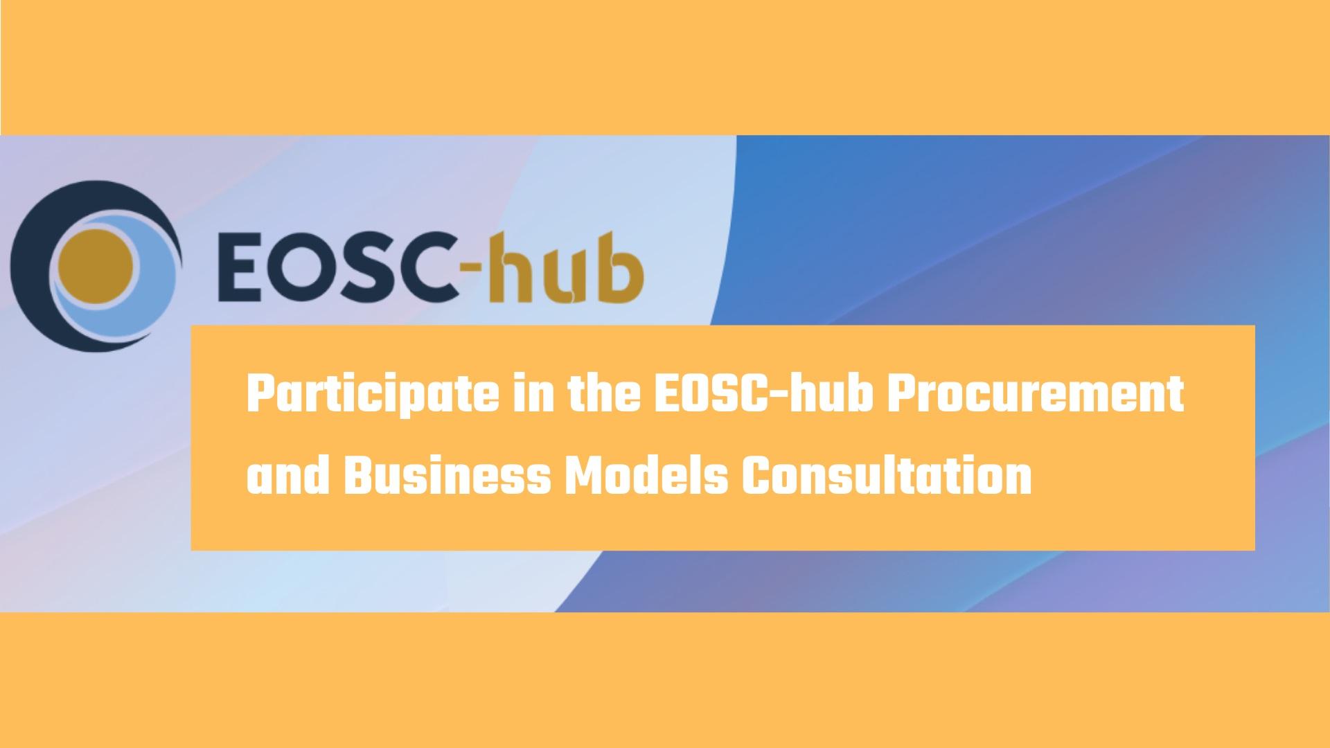 Participate in the EOSC-hub Procurement and Business Models Consultation